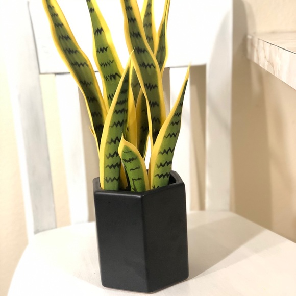 Accents Potted Faux Plant Snake Plant Poshmark